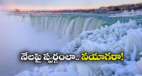 Niagara falls: నయాగరా నయా లుక్.. మంచుతో మైమరపిస్తోన్న జలపాతం!