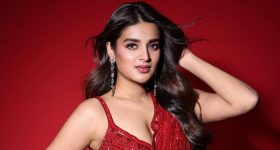 Nidhi Agerwal: పెళ్లి ఇంట్రెస్ట్ లేదు కానీ నలుగురు పిల్లలు కావాలంటున్న నటి