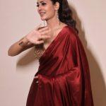 Payal Rajputh: ఎరుపు రంగు చీరలో హీట్ పుట్టిస్తున్న పాయల్!