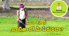 PM Kisan Beneficiary List: పీఎం కిసాన్ డబ్బులపై అప్డేట్.. జాబితాలో మీ పేరు ఇలా చెక్ చేసుకోండి
