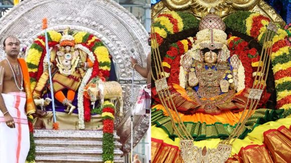 Tiruchanur: తిరుచానూరు ఆలయంలో రథసప్తమి మహోత్సవాలు.. తేదీ, కార్యక్రమాల వివరాలు ఇవే..