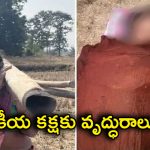 Peddapalli district: ఓటమికి కారణమంటూ కోర్టుకు ఈడ్చారు.. మనస్తాపంతో చెరువులో దూకి వృద్ధురాలు మృతి