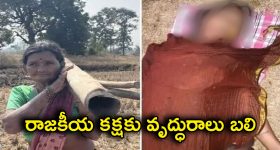Sreeleela: శ్రీలీలకి ఝలక్ ఇచ్చిన కృతీ శెట్టి .. ఏమైందంటే..?