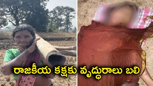 Peddapalli district: ఓటమికి కారణమంటూ కోర్టుకు ఈడ్చారు.. మనస్తాపంతో చెరువులో దూకి వృద్ధురాలు మృతి
