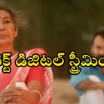 Poovu movie OTT : ఏకంగా 3 ఇంటర్నేషనల్ ఫిల్మ్ ఫెస్టివల్ లో అవార్డులు గెలుచుకున్న మలయాళం మూవీ… సైలెంట్ గా ఓటీటీ స్ట్రీమింగ్