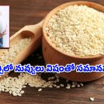 Pregnancy Diet Tips: గర్భిణీలు నువ్వులు తింటే అబార్షన్ అవుతుందా? ఈ ఒక్క విషయం తెలిస్తే మీ భయం మొత్తం పోతుంది!