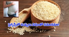 Pregnancy Diet Tips: గర్భిణీలు నువ్వులు తింటే అబార్షన్ అవుతుందా? ఈ ఒక్క విషయం తెలిస్తే మీ భయం మొత్తం పోతుంది!