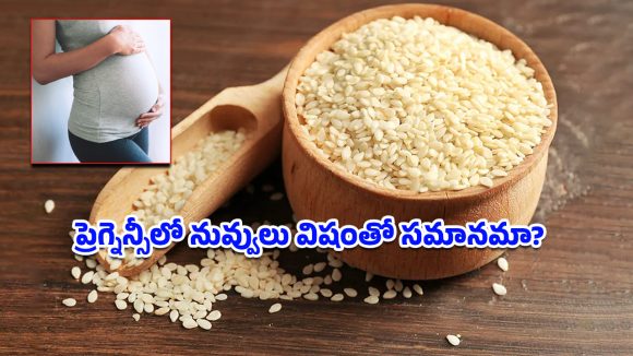 Pregnancy Diet Tips: గర్భిణీలు నువ్వులు తింటే అబార్షన్ అవుతుందా? ఈ ఒక్క విషయం తెలిస్తే మీ భయం మొత్తం పోతుంది!