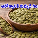 Pumpkin Seeds: గుండెను రక్షించే గుమ్మడి గుంజలు.. రోజూ ఈ విధానంలో తీసుకుంటే ఫుల్ బెనిఫిట్స్!