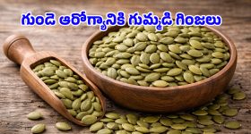 Pumpkin Seeds: గుండెను రక్షించే గుమ్మడి గుంజలు.. రోజూ ఈ విధానంలో తీసుకుంటే ఫుల్ బెనిఫిట్స్!