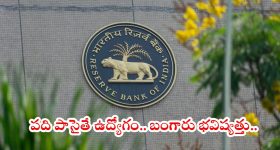 RBI Recruitment: పదో తరగతి అర్హతతో అద్భుతమైన ఉద్యోగం.. రూ. 46 వేల జీతం, అప్లికేషన్ పూర్తి వివరాలివే..
