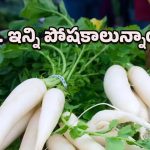 Radish leaves: అరెరే.. ఇన్ని ప్రయోజనాలున్న ముల్లంగి ఆకులను ఎందుకు పడేస్తున్నాం?