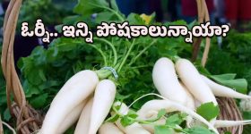 Radish leaves: అరెరే.. ఇన్ని ప్రయోజనాలున్న ముల్లంగి ఆకులను ఎందుకు పడేస్తున్నాం?