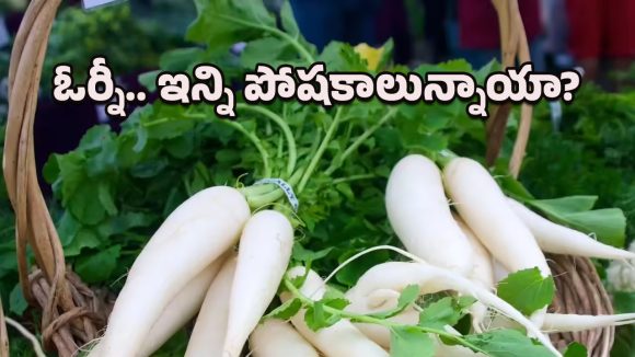 Radish leaves: అరెరే.. ఇన్ని ప్రయోజనాలున్న ముల్లంగి ఆకులను ఎందుకు పడేస్తున్నాం?