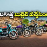 Royal Enfield Goan Classic 350:  రాయల్ ఎన్ఫీల్డ్ గోవాన్ క్లాసిక్ 350 లాంచ్, ధర ఎంతో తెలుసా?