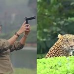 Actress Sada: టీ ఎస్టేట్‌లో పులి.. భయం లేకుండా నటి సదా ఏం చేసిందో చూడండి