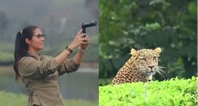 2026 Telugu Movies: ఈ ఏడాది సినిమాల జాతర మామూలుగా లేదుగా... ఎప్పుడూ లేనంతగా..!