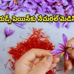 Saffron Benefits: క్యాన్సర్‌ని ఎదుర్కొనే శక్తి దీనికి ఉందా? పీరియడ్స్ నొప్పులకూ బెస్ట్ సొల్యూషన్ అంటున్న నిపుణులు!