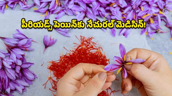 Saffron Benefits: క్యాన్సర్‌ని ఎదుర్కొనే శక్తి దీనికి ఉందా? పీరియడ్స్ నొప్పులకూ బెస్ట్ సొల్యూషన్ అంటున్న నిపుణులు!
