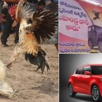Sankranti Festival: సంక్రాంతి పండుగలో కోడి పందాల జోరు..  విన్నర్‌కు థార్, రన్నర్‌కు స్విఫ్ట్!