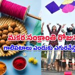 Sankranti Kites Fly: మకర సంక్రాంతికి గాలిపటాలకు ఉన్న అనుబంధం ఏమిటి? దీని వెనుకున్న అసలు కథ ఇదే!
