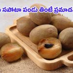 Sapota Benefits: తియ్యని సపోటాతో బోలెడన్ని లాభాలు.. కానీ ఆ వ్యాధి ఉన్నవారు మాత్రం అస్సలు తినకూడదు!