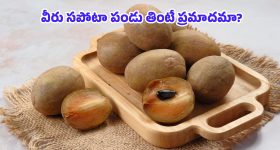 Sapota Benefits: తియ్యని సపోటాతో బోలెడన్ని లాభాలు.. కానీ ఆ వ్యాధి ఉన్నవారు మాత్రం అస్సలు తినకూడదు!