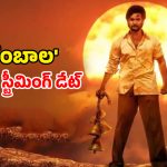 Shambhala OTT release date : ఆది సాయికుమార్ సూపర్ హిట్ మిస్టిక్ థ్రిల్లర్ ను ఏ ఓటీటీలో ఎప్పుడు చూడవచ్చో తెలుసా ?