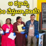 Sheep blood mafia: గొర్రె, మేకల రక్తాన్ని తీసి.. ఆ మాఫియా గుట్టురట్టు