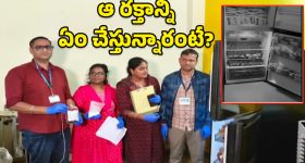 Sheep blood mafia: గొర్రె, మేకల రక్తాన్ని తీసి.. ఆ మాఫియా గుట్టురట్టు