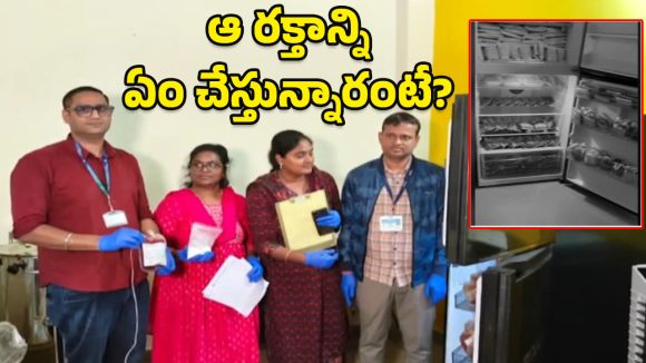 Sheep blood mafia: గొర్రె, మేకల రక్తాన్ని తీసి.. ఆ మాఫియా గుట్టురట్టు