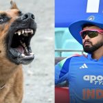 Shreyas Iyer: శ్రేయాస్ అయ్యర్ కు మరో ప్రమాదం….పెంపుడు కుక్క దాడి !