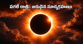 Chandrababu Naidu: తెలుగువారే ప్రపంచ ప్రగతి వారధులు.. జ్యూరిచ్ లో సీఎం చంద్రబాబు ఆత్మీయ ప్రసంగం!