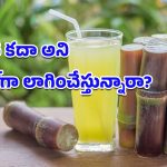 Sugarcane Juice: జాగ్రత్త సుమీ.. ఆ సమస్యలు ఉన్నవాళ్లు చెరుకు రసం అస్సలు తాగొద్దట!
