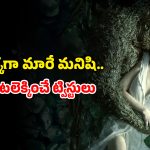 Superhero horror series : వింత వైరస్ తో అంతుచిక్కని రోగం… మొక్కల రూపంలో భూమిని కాపాడే సూపర్ హీరో