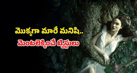 Superhero horror series : వింత వైరస్ తో అంతుచిక్కని రోగం... మొక్కల రూపంలో భూమిని కాపాడే సూపర్ హీరో