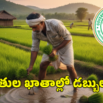 TG Paddy Bonus: తెలంగాణ రైతులకు సంక్రాంతి కానుక.. అకౌంట్లలో బోనస్ డబ్బులు జమ