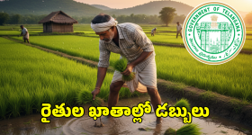 TG Paddy Bonus: తెలంగాణ రైతులకు సంక్రాంతి కానుక.. అకౌంట్లలో బోనస్ డబ్బులు జమ