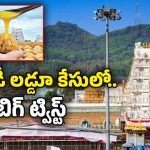 TTD Laddu Case: కంచే చేను మేసినట్లు.. ఫిర్యాదు చేసిన వారే నిందితులుగా.. తిరుమల లడ్డూ కేసులో ట్విస్ట్!