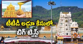 Coconut Fried rice: కొబ్బరి ఫ్రైడ్ రైస్ ఇలా చేశారంటే ప్లేటు మొత్తం ఖాళీ అయిపోతుంది