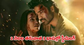Medaram: మేడారం జాతర.. ఆకాశ మార్గంలో అమ్మవారి దర్శనం, రూ.4,800కే హెలికాప్టర్ సేవలు