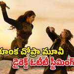 The Bluff OTT : ‘వారణాసి’ హీరోయిన్ యాక్షన్ థ్రిల్లర్ ఓటీటీలోకి… రిలీజ్ ఎప్పుడంటే ?
