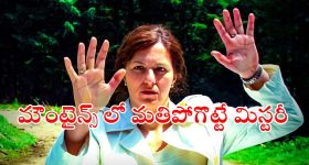 Sci - Fi Thriller OTT : కంటికి కనిపించని అడ్డుగోడతో అడ్డంగా బుక్కయ్యే ఒంటరి అమ్మాయి... కట్ చేస్తే దిమాక్ ఖరాబ్ ట్విస్ట్