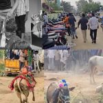 Tirumala: జల్లికట్టు వేడుకలలో అపశృతి.. తలకాయ పగిలి తీవ్ర స్థితిలో..?
