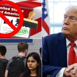 Trump Govt: ట్రంప్ సర్కార్ అదే జోరు..  ఏకంగా లక్ష వీసాలు రద్దు, ఇదే జోరు కంటిన్యూ?