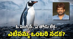Penguin: ఈ పెంగ్విన్‌కు ఏమైంది? రీల్స్‌లో అదే పనిగా కనిపిస్తోంది.. పూరీ చెప్పింది దీని గురించేనా?
