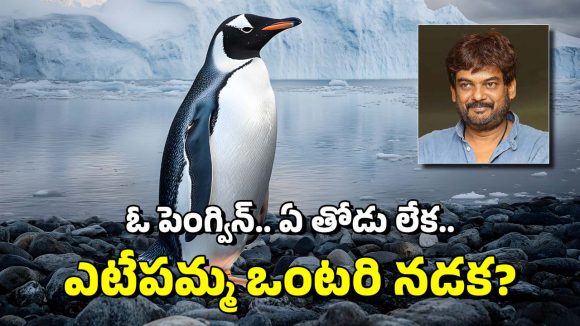 Penguin: ఈ పెంగ్విన్‌కు ఏమైంది? రీల్స్‌లో అదే పనిగా కనిపిస్తోంది.. పూరీ చెప్పింది దీని గురించేనా?