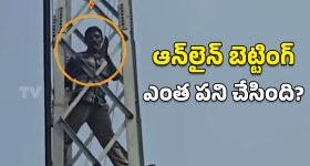 Anasuya Bhardwaj: రాశిగారి ఫలాలు... అనసూయ సారీ చెప్తూనే కీలక కామెంట్స్