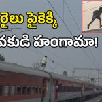 Viral Video: రైలు మీద యువకుడి డేంజరస్ స్టంట్స్.. చివరికి ఏమైందంటే?