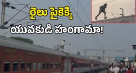 Jute Farming: తెలంగాణలో జనపనార సాగుపై దృష్టి.. ఎకరానికి రూ. లక్ష ఆదాయం.. భూసారానికి మేలు: చామల కిరణ్ కుమార్ రెడ్డి